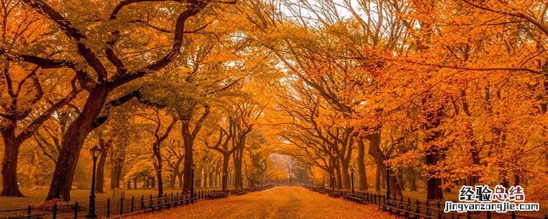 秋天是什么颜色的,就像什么仿写句子 秋天是什么颜色的