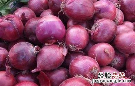 洋葱种植的田间管理技术 洋葱种植的田间管理技术有哪些