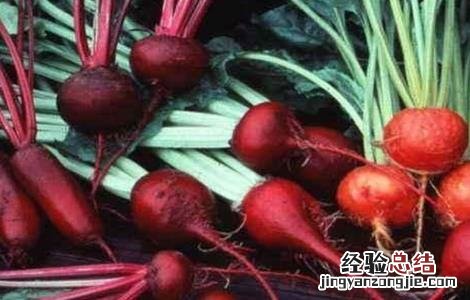 甜菜低产的原因 甜菜的产量现状