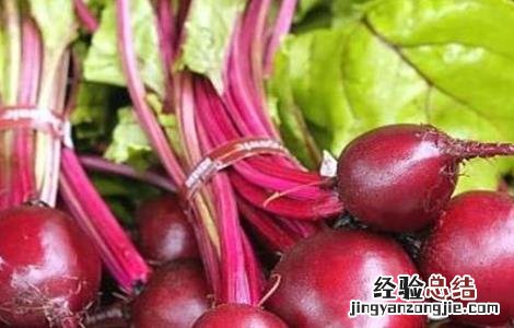 甜菜空心的原因及防治方法 甜菜主要病害图文