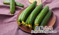 美味炝黄瓜怎么做 美味炝黄瓜怎么做视频
