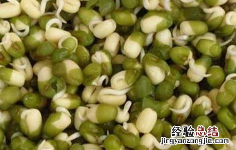 绿豆芽种植技术视频 绿豆芽种植技术