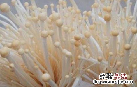 金针菇出菇期的水分管理 金针菇出菇期的水分管理方法