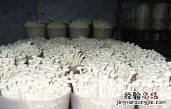 金针菇出菇期的水分管理 金针菇出菇期的水分管理方法