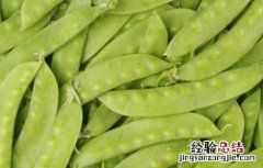 荷兰豆用什么肥才能获得高产? 荷兰豆高产施肥技巧