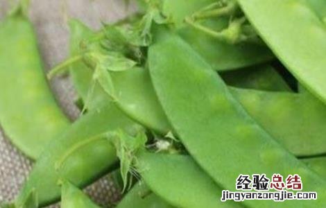 荷兰豆用什么肥才能获得高产? 荷兰豆高产施肥技巧