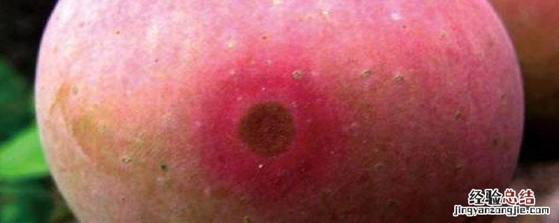 苯甲中生菌素治什么病 中生菌素治什么病