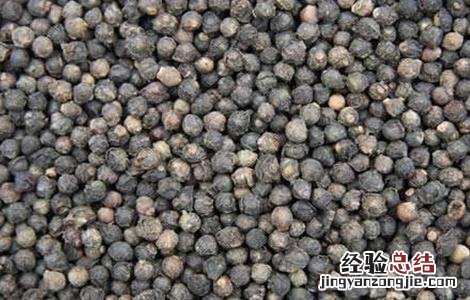 木耳菜种子催芽方法 木耳菜种子催芽方法图片