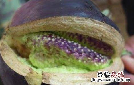 茄子畸形果多怎么回事 茄子畸形果产生原因及防治方法