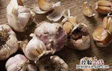 大蒜裂头散瓣形成原因 大蒜裂头散瓣形成原因分析