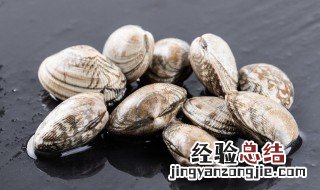 蛤蜊怎么做才嫩 蛤蜊肉怎么做好吃又嫩