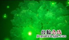 fgo技能时间 FGO技能