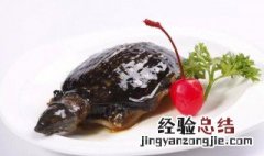 甲鱼内脏哪些可以留着养 甲鱼内脏哪些可以留着
