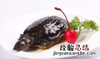 甲鱼内脏哪些可以留着养 甲鱼内脏哪些可以留着