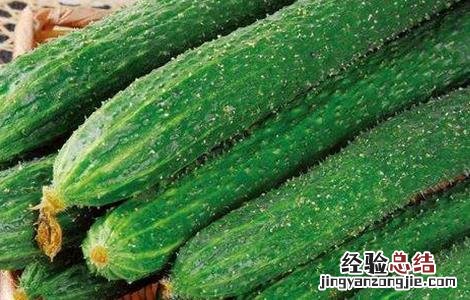 黄瓜空心的原因及防治方法 黄瓜怎样防病