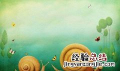 蜗牛冬天吃什么食物 蜗牛冬天可以吃什么