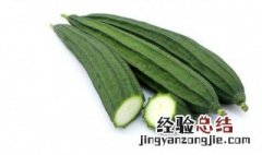 丝瓜做馅做法大全 丝瓜做馅做法大全图解