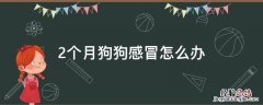 2个月狗狗感冒怎么办 二个月的狗感冒了怎么办