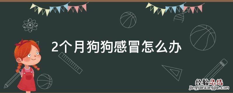 2个月狗狗感冒怎么办 二个月的狗感冒了怎么办