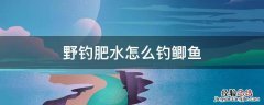 野钓肥水怎么钓鲫鱼 肥水怎样钓鲫鱼