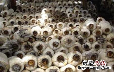 草菇生长异常的原因及预防措施 草菇生长过程中温差超过5度菇蕾就容易死亡