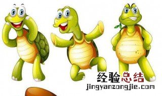 家里养龟十大禁忌 乌龟好养活吗