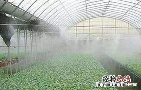 大棚蔬菜如何浇水 蔬菜大棚怎么浇水