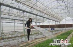 大棚蔬菜如何浇水 蔬菜大棚怎么浇水