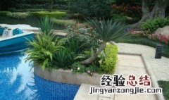 庭院适合栽植什么灌木盆景 庭院适合栽植什么灌木