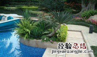 庭院适合栽植什么灌木盆景 庭院适合栽植什么灌木