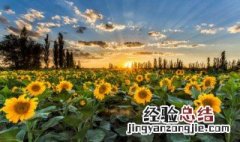 夏天几月份最热 夏天几月份最热 热多久