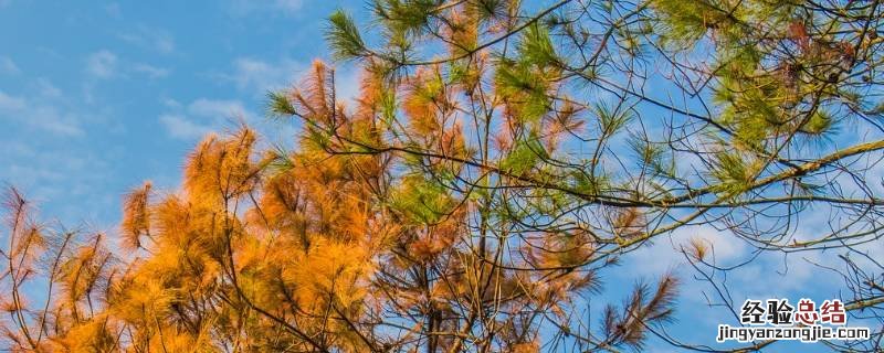 夏秋换季注意事项 夏秋换季应该注意什么