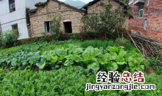 房前屋后自留地法律 家前屋后地属自留地吗