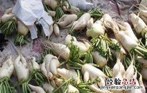 萝卜畸形根的原因及防治方法是什么 萝卜畸形根的原因及防治方法