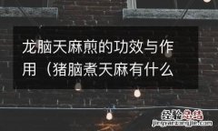 猪脑煮天麻有什么功效 龙脑天麻煎的功效与作用