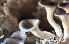 平菇畸形怎么补救 平菇畸形菇的原因及防治方法