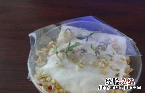 辣椒种子的催芽方法 辣椒种子的催芽方法视频