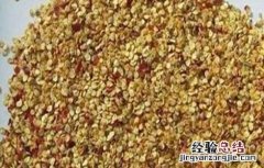 辣椒种子的催芽方法 辣椒种子的催芽方法视频