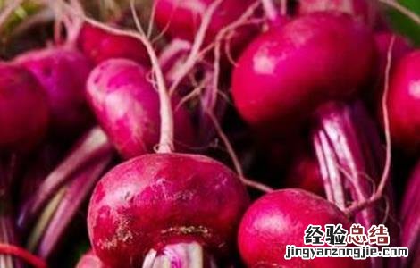 甜菜种植的注意事项 甜菜种植的注意事项有哪些