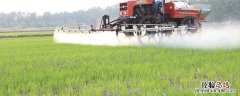 噻虫嗪和吡虫啉的区别 噻虫啉和噻虫嗪