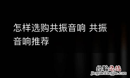 怎样选购共振音响 共振音响推荐