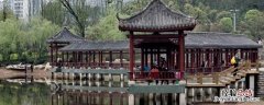 龙头寺属于重庆哪个区 龙头寺属于重庆哪个区哪个街道