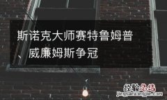 斯诺克大师赛特鲁姆普、威廉姆斯争冠