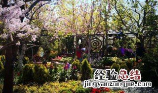 北京的院子适合种什么花 北京院子里适合种什么花