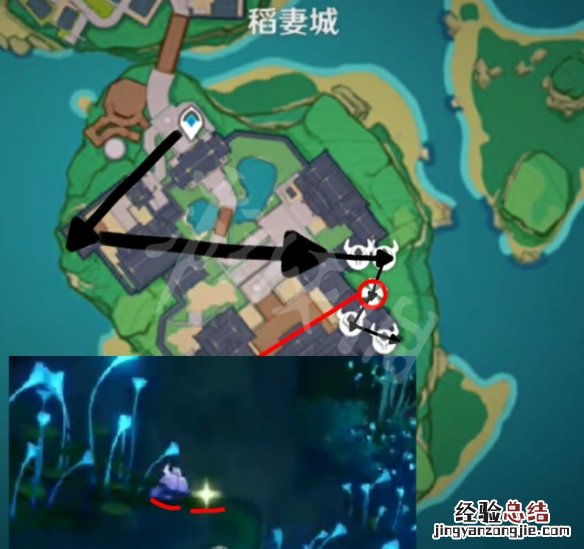 原神鬼兜虫哪里多 原神鬼兜虫采集路线