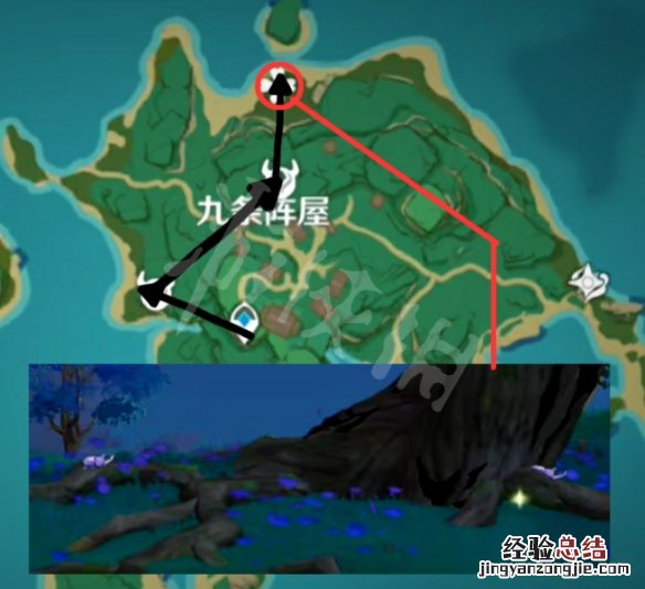 原神鬼兜虫哪里多 原神鬼兜虫采集路线
