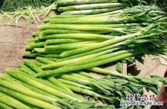 贡菜和莴笋的区别,贡菜的吃法 贡菜和莴笋的区别,贡菜的吃法一样吗