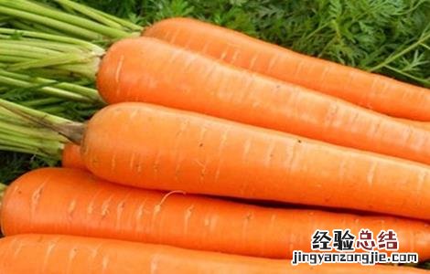 胡萝卜苗期管理技术