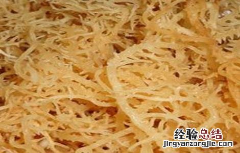 石花菜的生殖方式 石花菜的繁殖方法