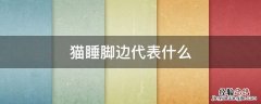 猫喜欢睡脚下 猫睡脚边代表什么